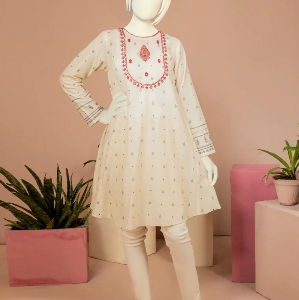 Pakistani girls kurti